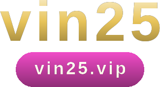vin25 logo